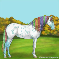 Horse Color:Painted Watercolor White Spotted Liver Red Dun Appaloosa 