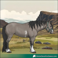 Horse Color:Grullo Sabino Rabicano 