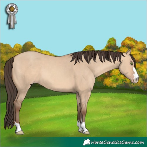 Horse Color:Amber Champagne Dun 