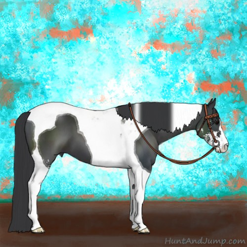 Horse Color:Black Sabino Tobiano 