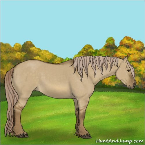 Horse Color:Chocolate Palomino Dun Frame Rabicano