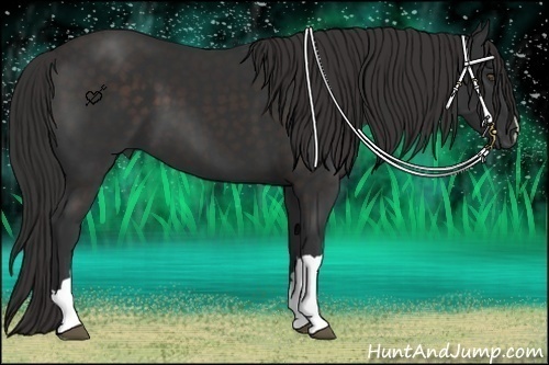 Horse Color:Liver Chestnut Frame 