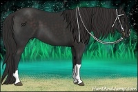 Horse Color:Liver Chestnut Frame