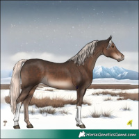 Horse Color:Liver Chestnut Mushroom Tobiano 