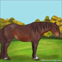 Horse Color:Chocolate Brown Sabino
