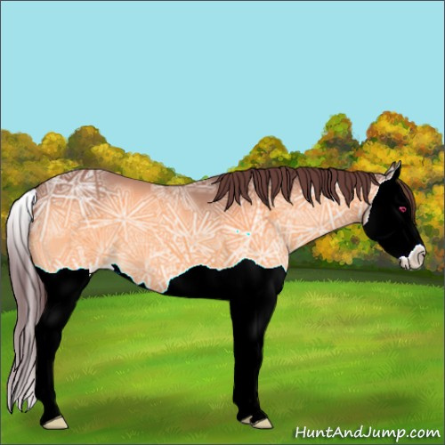 Horse Color:Chocolate Brown Chinchilla Ice Mushroom Splash