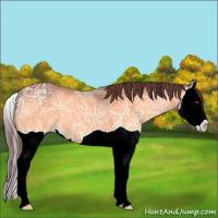 Horse Color:Chocolate Brown Chinchilla Ice Mushroom Splash 