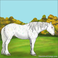 Horse Color:Watercolor Liver Chestnut Chinchilla Ice Mushroom Appaloosa 