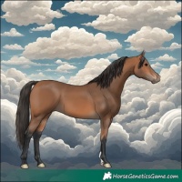 Horse Color:Bay Mushroom