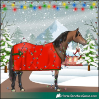 Horse Color:Bay Mushroom