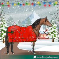 Horse Color:Bay Mushroom 