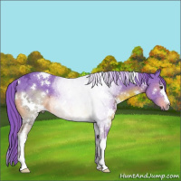 Horse Color:Watercolor White Spotted Chocolate Black Ice 