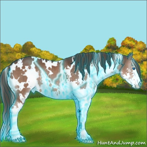 Horse Color:Thunderstruck White Spotted Liver Chestnut Splash 