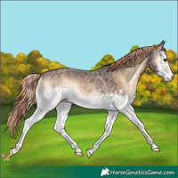 Horse Color:Painted White Spotted Silver Brown Ice Onyx 