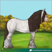 Horse Color:Liver Red Dun Ice Roan Tobiano 