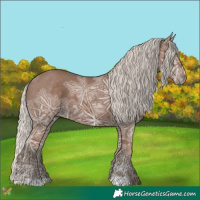Horse Color:Silver Black Ice