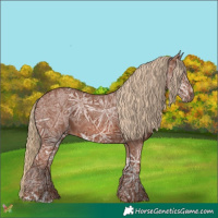 Horse Color:Chestnut Ice 