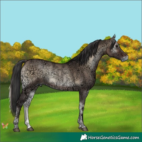 Horse Color:Brown Ice Onyx 