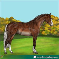 Horse Color:Silver Brown Ice
