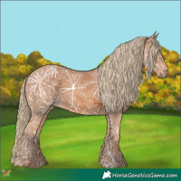 Horse Color:Chestnut Ice 