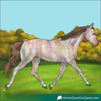 Horse Color:Nacre Red Dun Ice Tobiano 