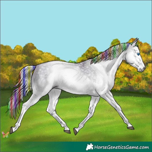 Horse Color:Gray Painted Silver Buckskin Pearl Splash Rabicano 