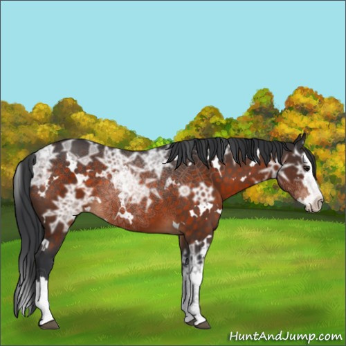 Horse Color:White Spotted Brown Ice Splash