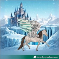 Horse Color:Classic Champagne Ice Roan  and Classic Champagne Ice Roan 