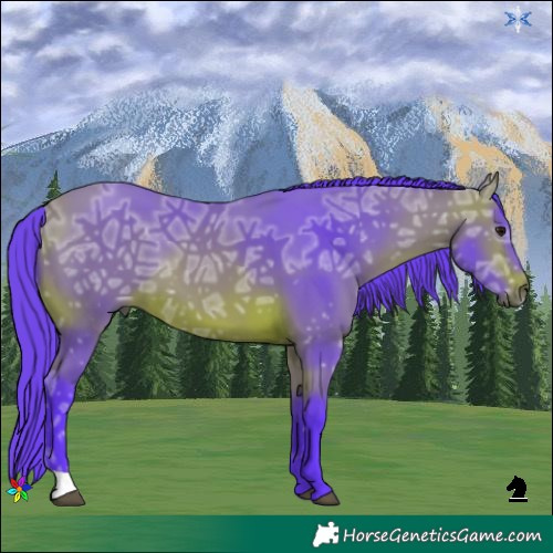 Horse Color:Watercolor Bay Ice 