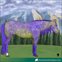 Horse Color:Watercolor Bay Ice 