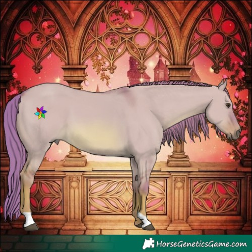 Horse Color:Watercolor Red Dun 