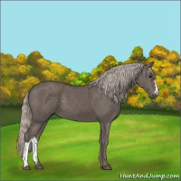 Horse Color:Silver Black 