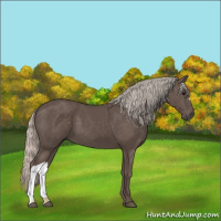Horse Color:Silver Black 