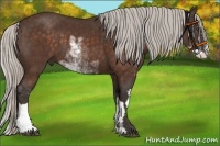 Horse Color:Silver Brown Sabino Frame
