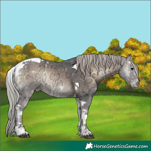 Horse Color:Silver Brown Ice Onyx Tobiano Rabicano 