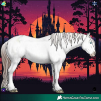 Horse Color:Brown Ice Dun Splash Appaloosa 