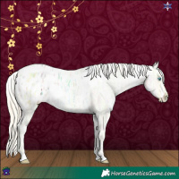 Horse Color:White Spotted Palomino Ice Pearl Varnish 