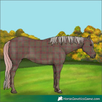 Horse Color:Plaid Silver Smoky Black