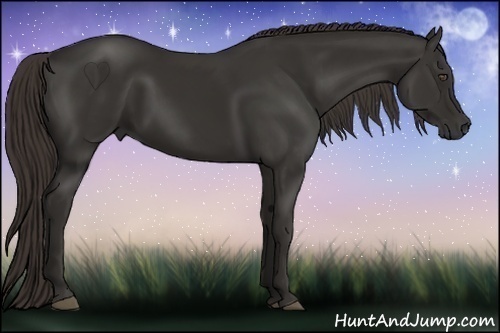 Horse Color:Liver Chestnut Frame 