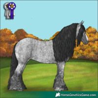 Horse Color:Blue Ice Roan and Blue Ice Roan Frame