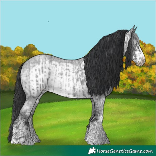 Horse Color:Blue Ice Roan and Blue Ice Roan Frame