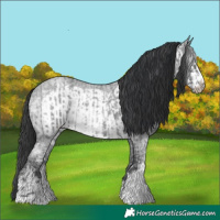 Horse Color:Blue Ice Roan and Blue Ice Roan Frame