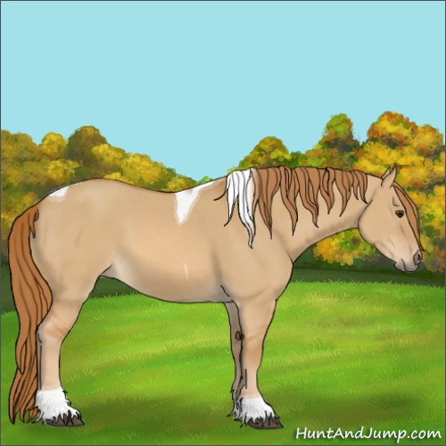 Horse Color:Red Dun Tobiano