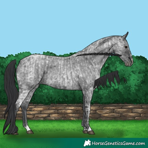 Horse Color:Blue Ice Roan  and Blue Ice Roan 