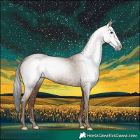 Horse Color:Gray Classic Champagne 