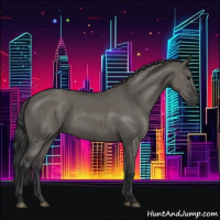 Horse Color:Grullo Rabicano 