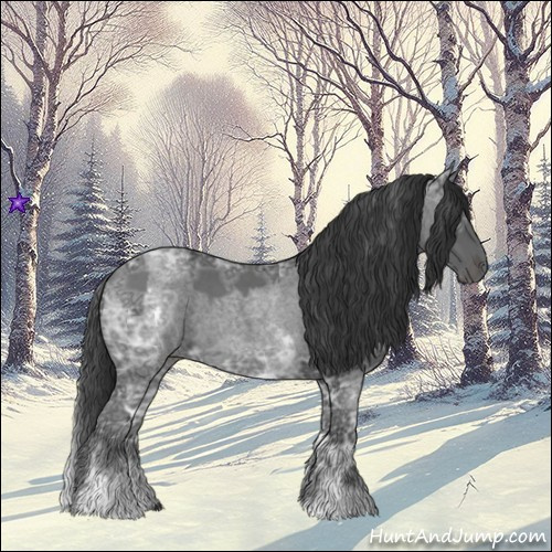 Horse Color:Blue Ice Roan and White Spotted Blue Ice Roan