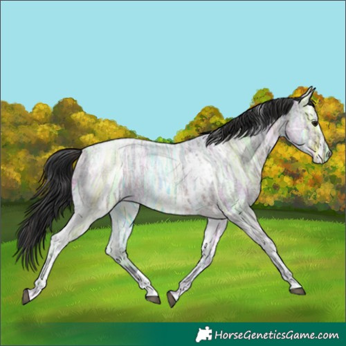 Horse Color:Brown Ice Roan and Blue Ice Roan Tobiano