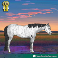 Horse Color:Blue Ice Roan  and Blue Ice Roan Frame 