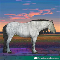 Horse Color:Blue Ice Roan  and Blue Ice Roan 